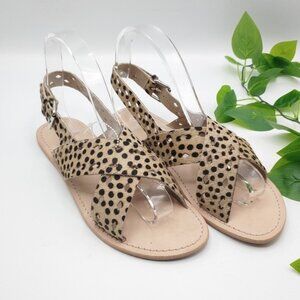 Matisse Leopard Arielle Cow Hair Sandals 8M NEW
